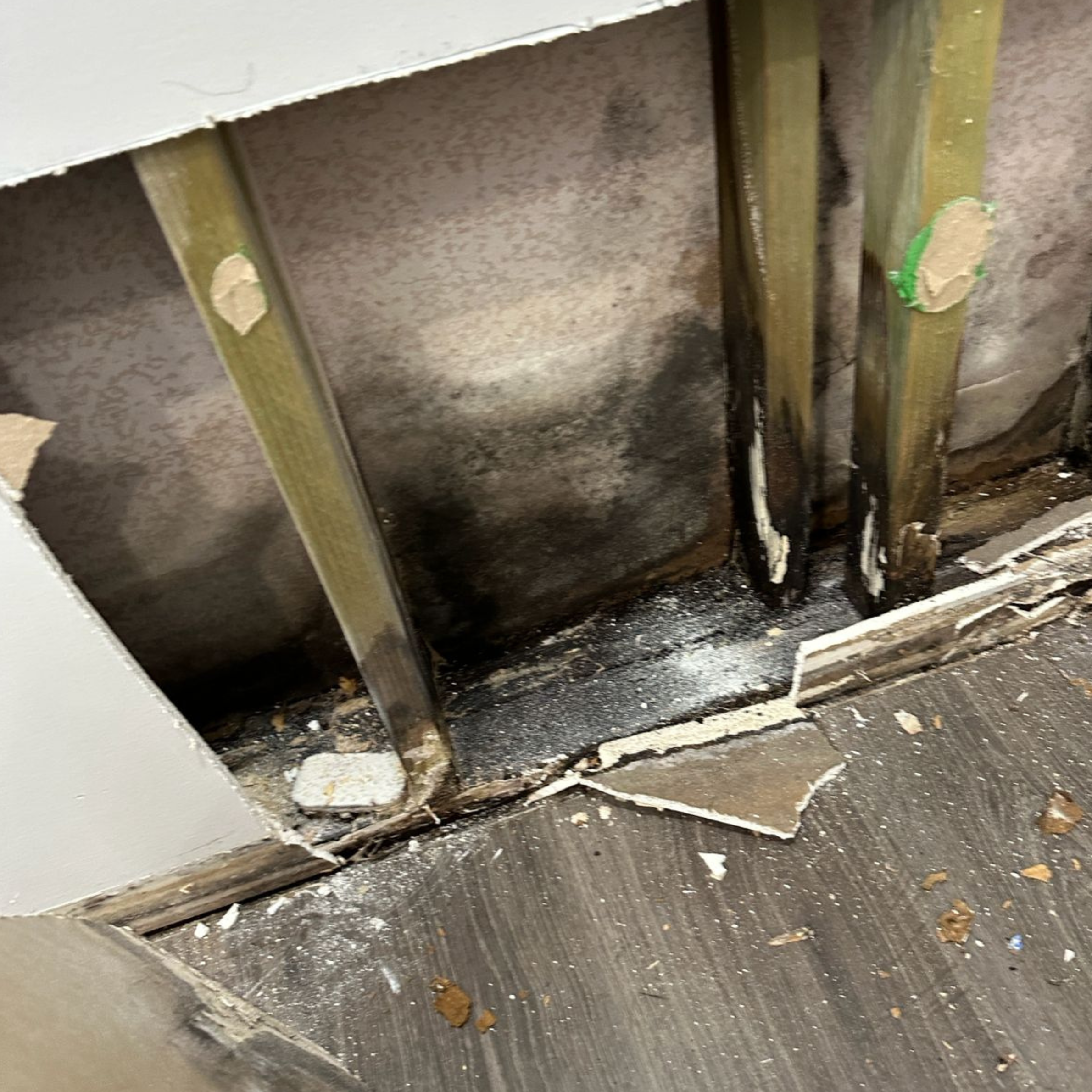 Mould on timber framing behind removed gyprock in Oran Park, NSW