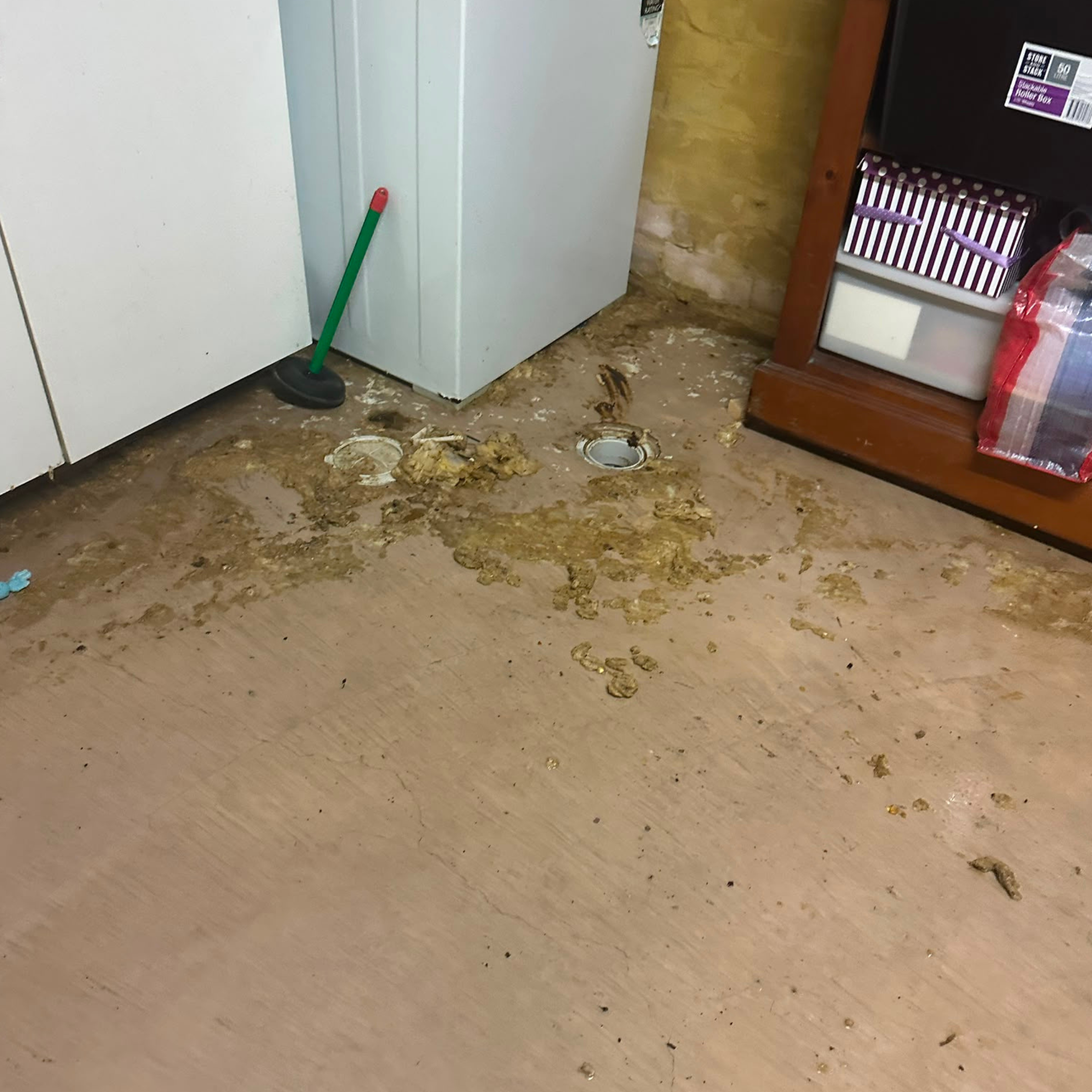 Sewer overflow contamination in a strata garage in Cronulla, NSW