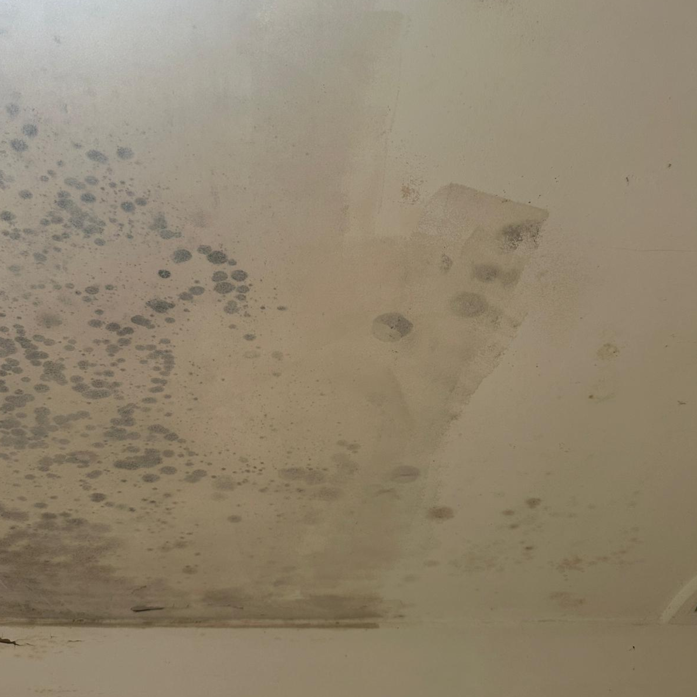 Roof leak damage on laundry ceiling plasterboard in South Penrith, NSW