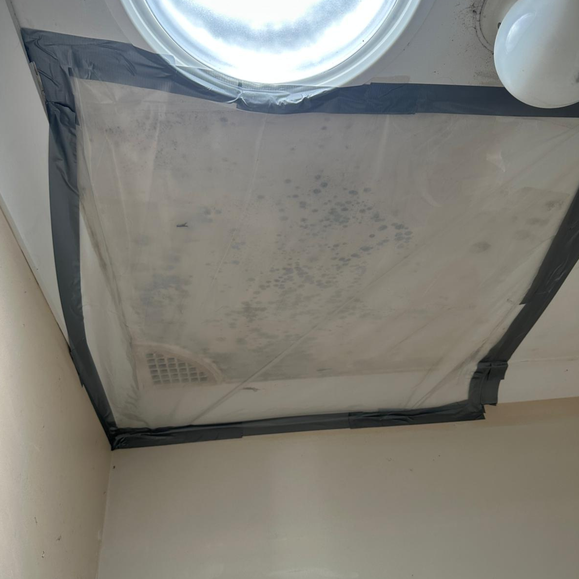 Temporary mould containment set up around the laundry ceiling in South Penrith, NSW