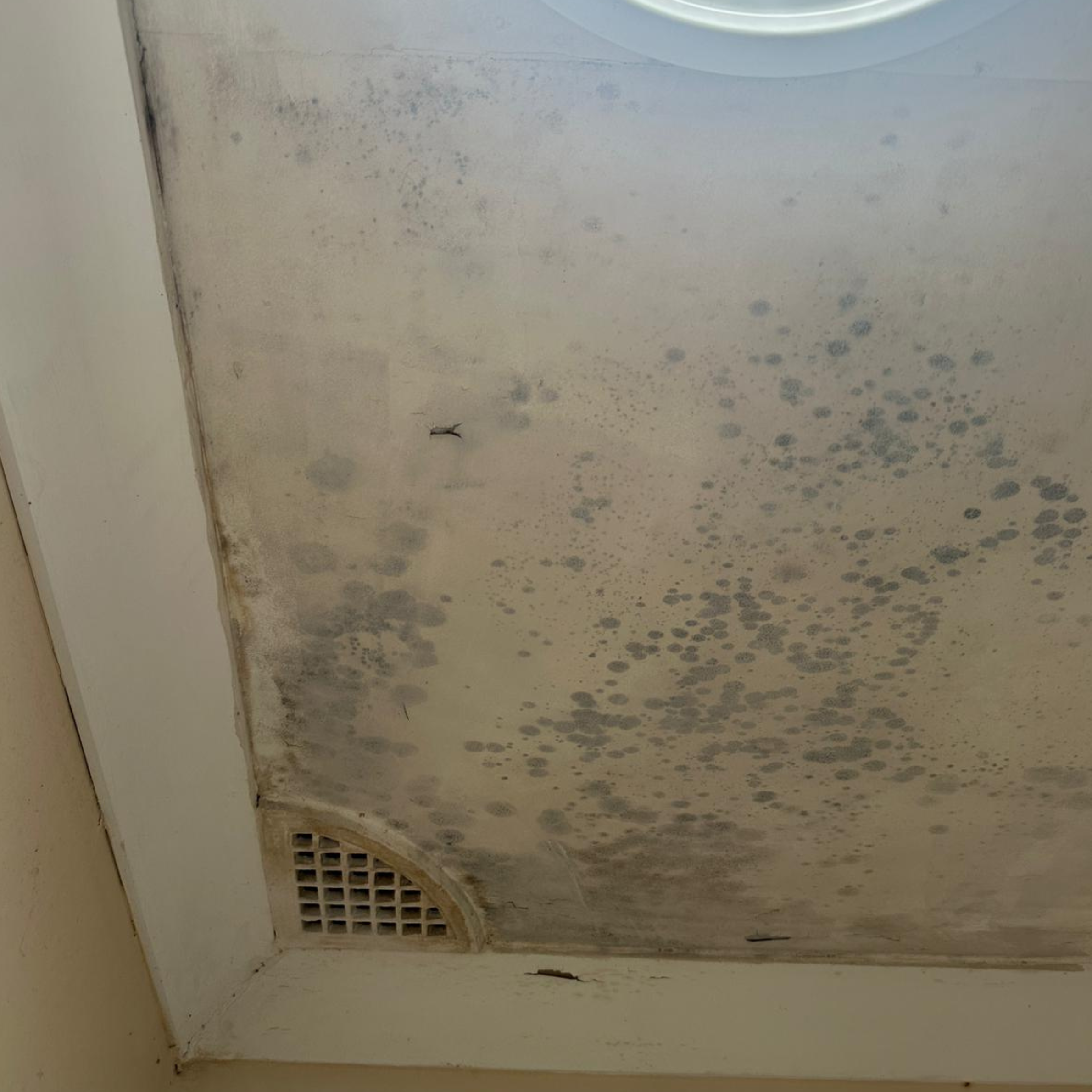 Water-stained laundry ceiling from an ongoing roof leak in South Penrith, NSW