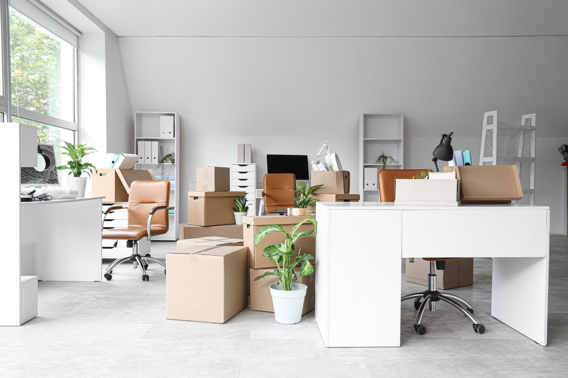 Centerville Construction Cleanup