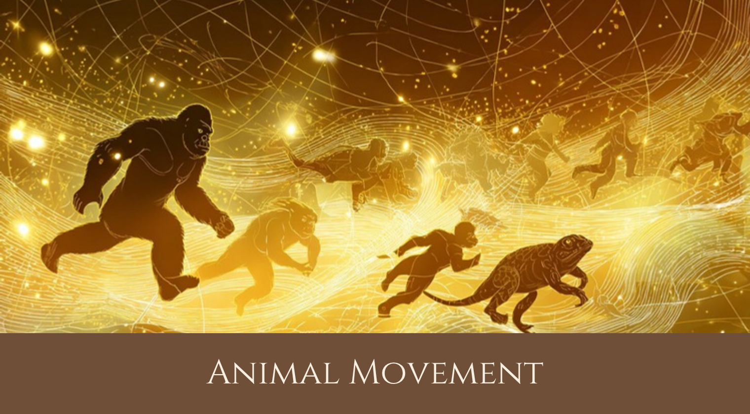 Animal Movement