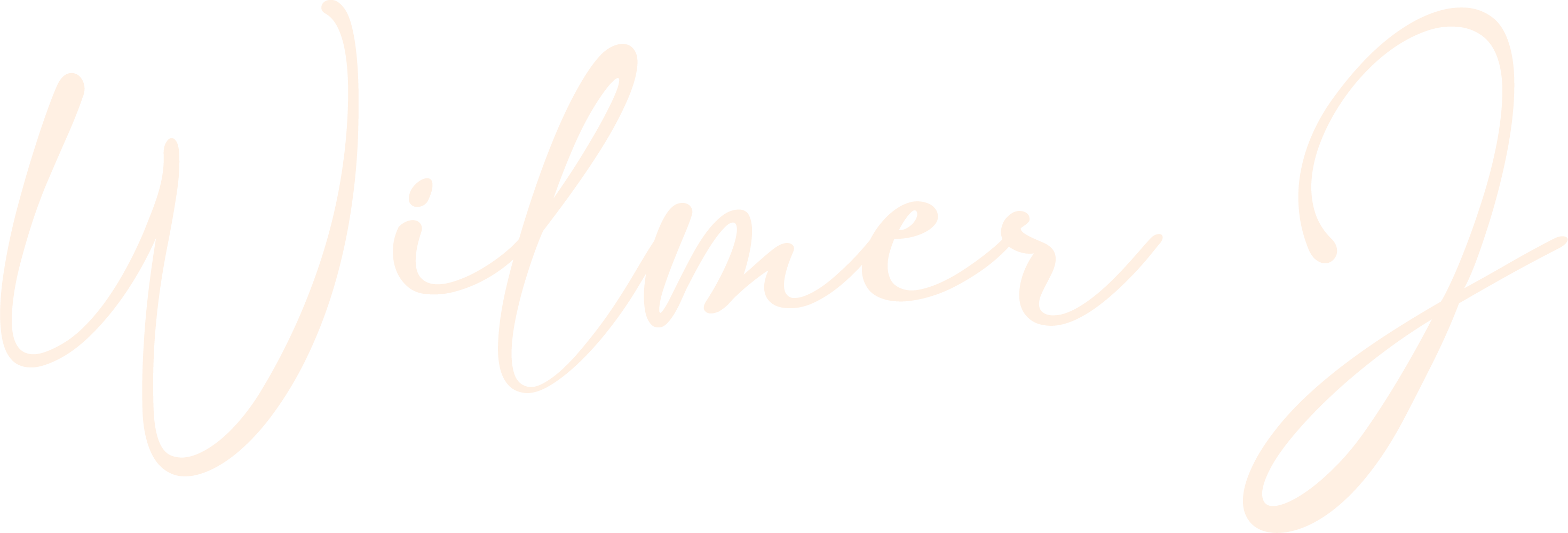 Wilmer J