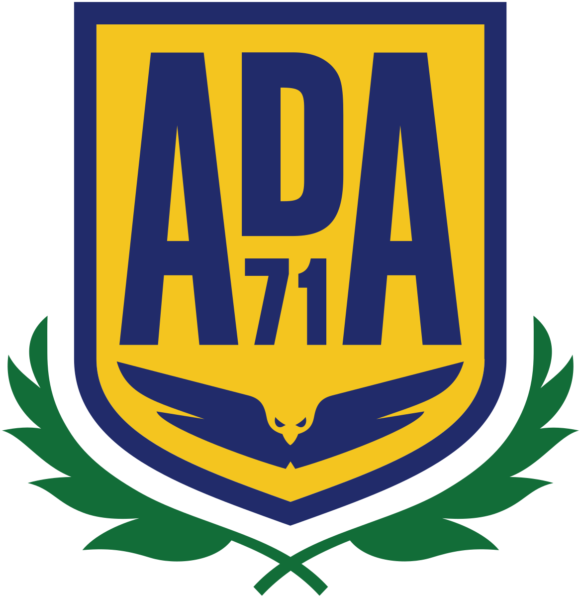 Partner club