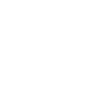 Module 5 icon