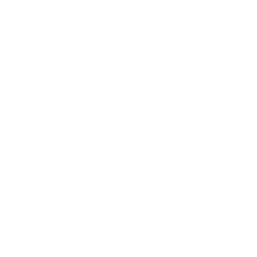 Module 9 icon