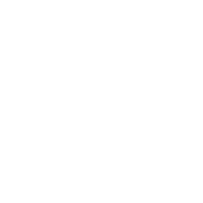Module 6 icon