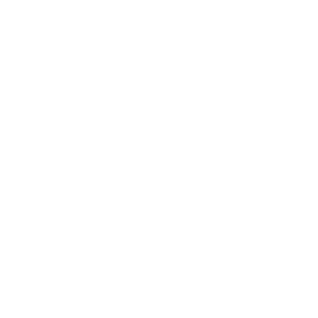 Module 1 icon