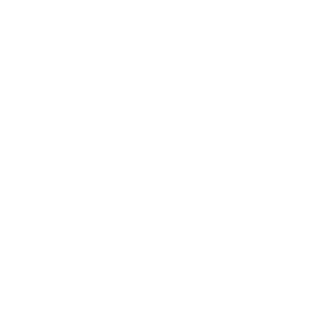Module 2 icon