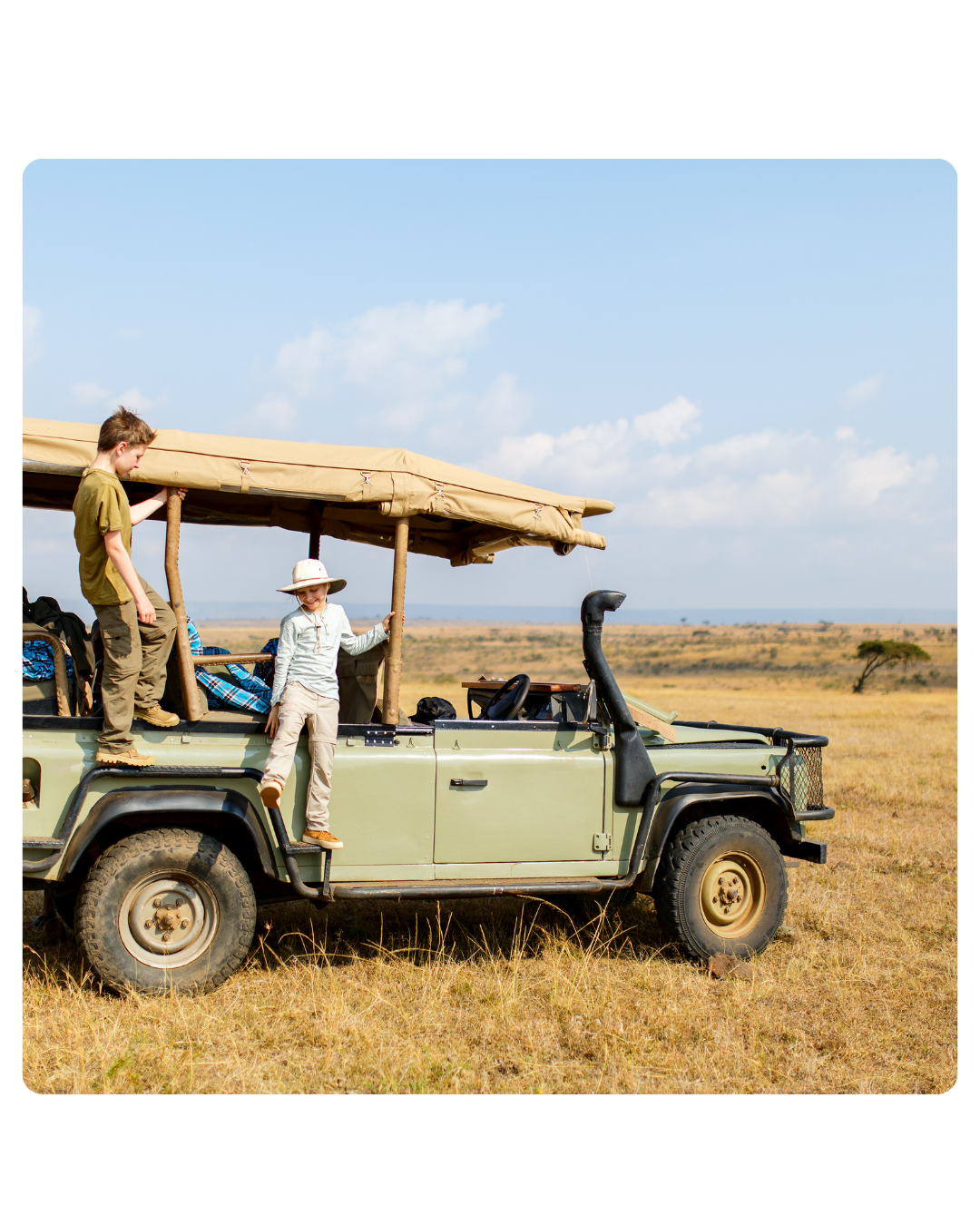 Safari drive in the reserve