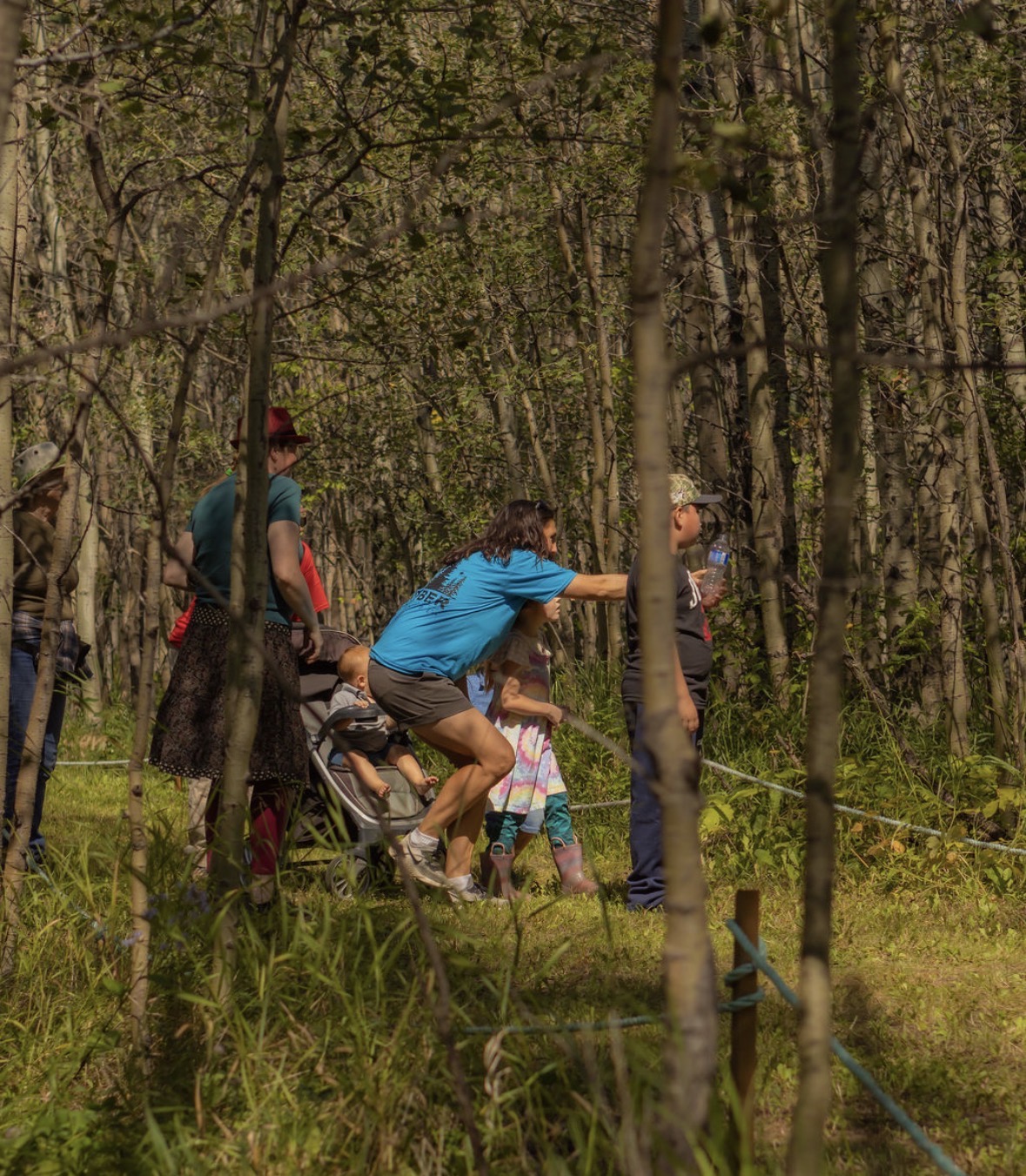 Timber Forest real-life adventure