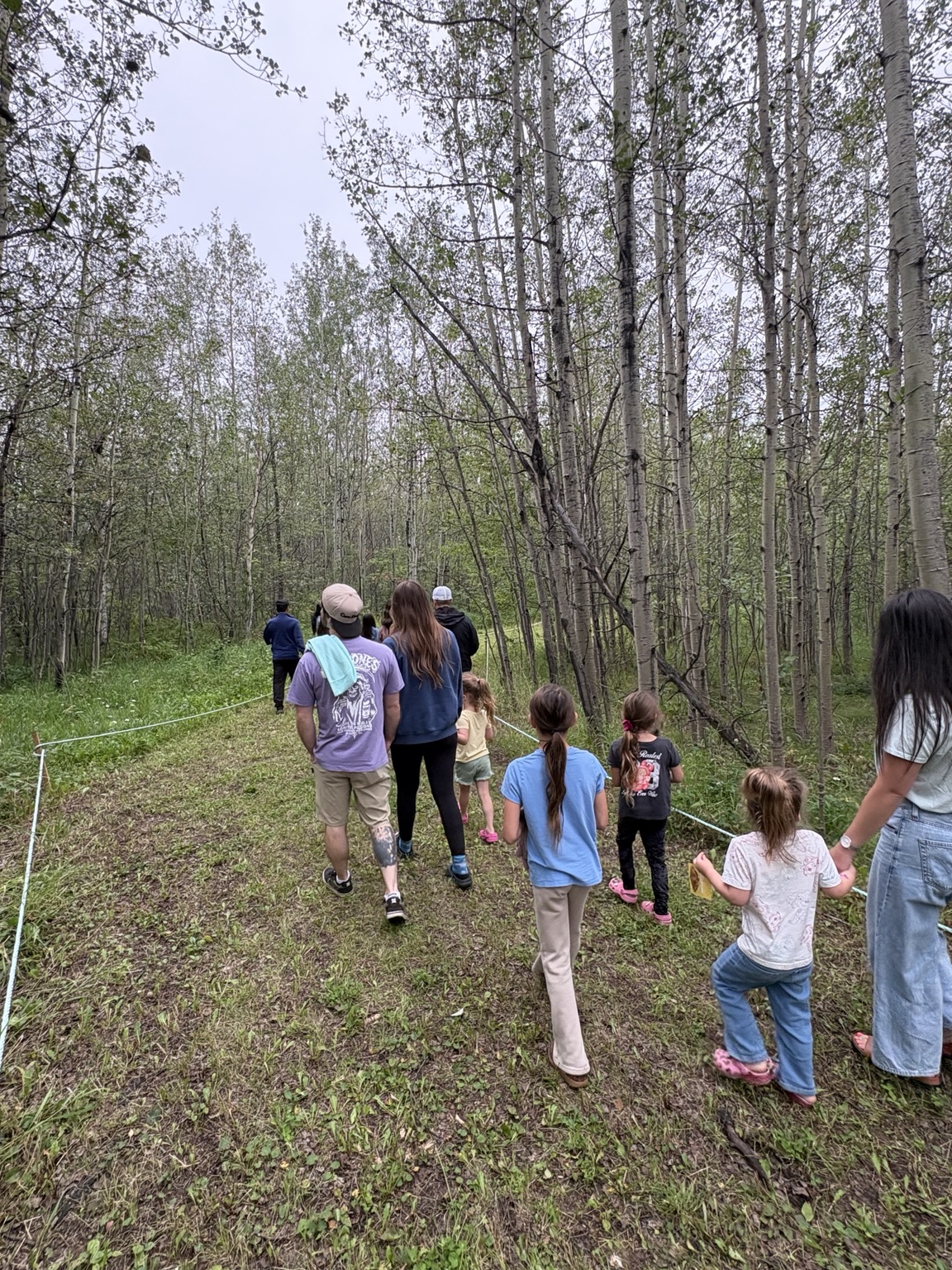 Timber Forest nature experience