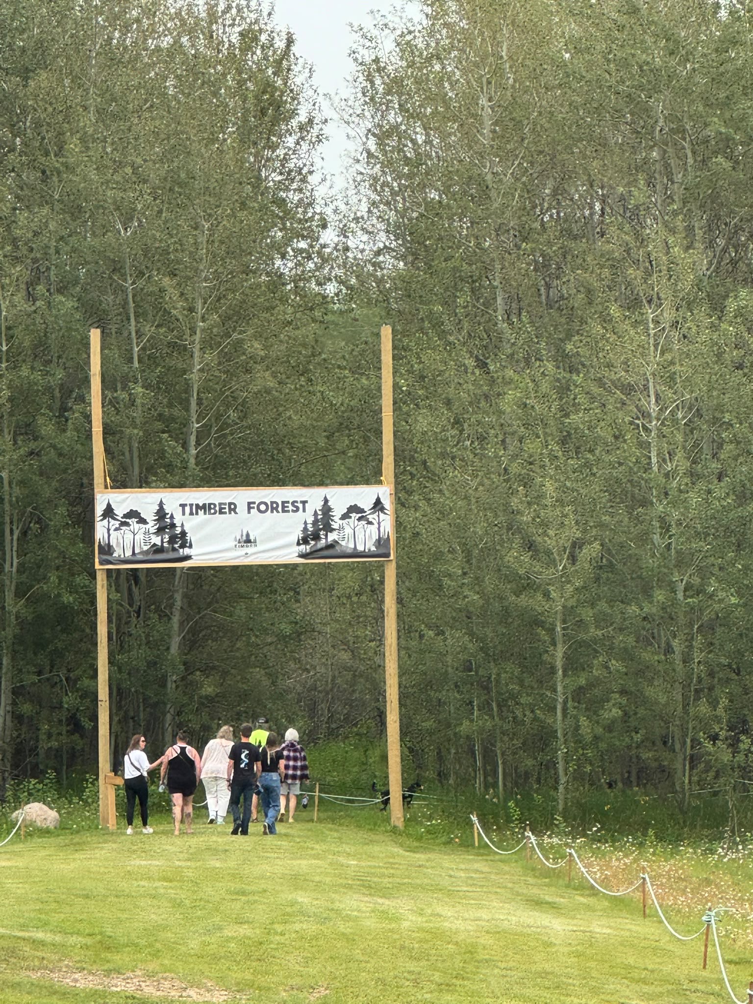 Timber Forest family experience
