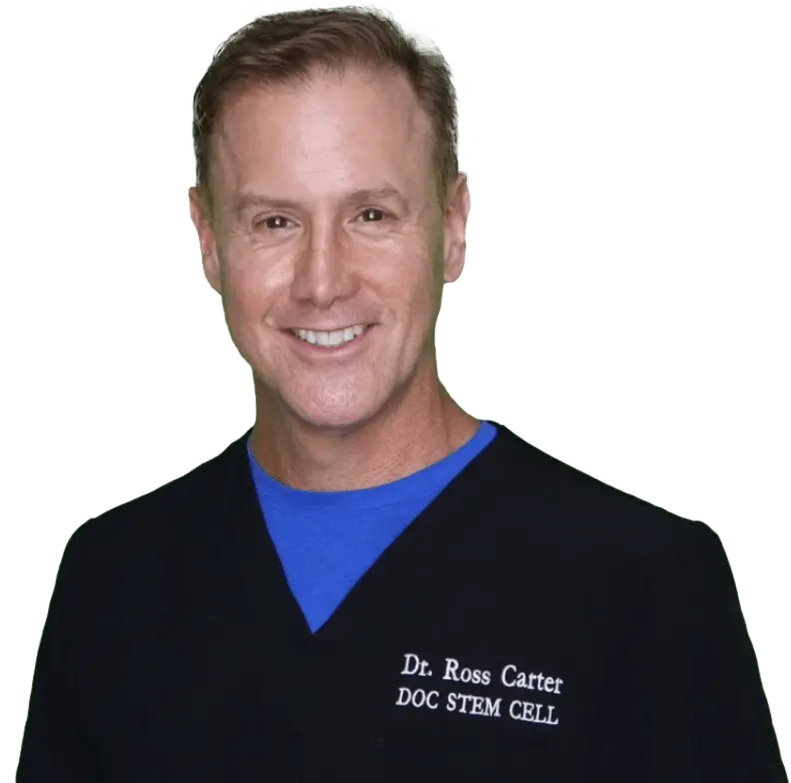 Free Guide For Joint Pain Recovery
