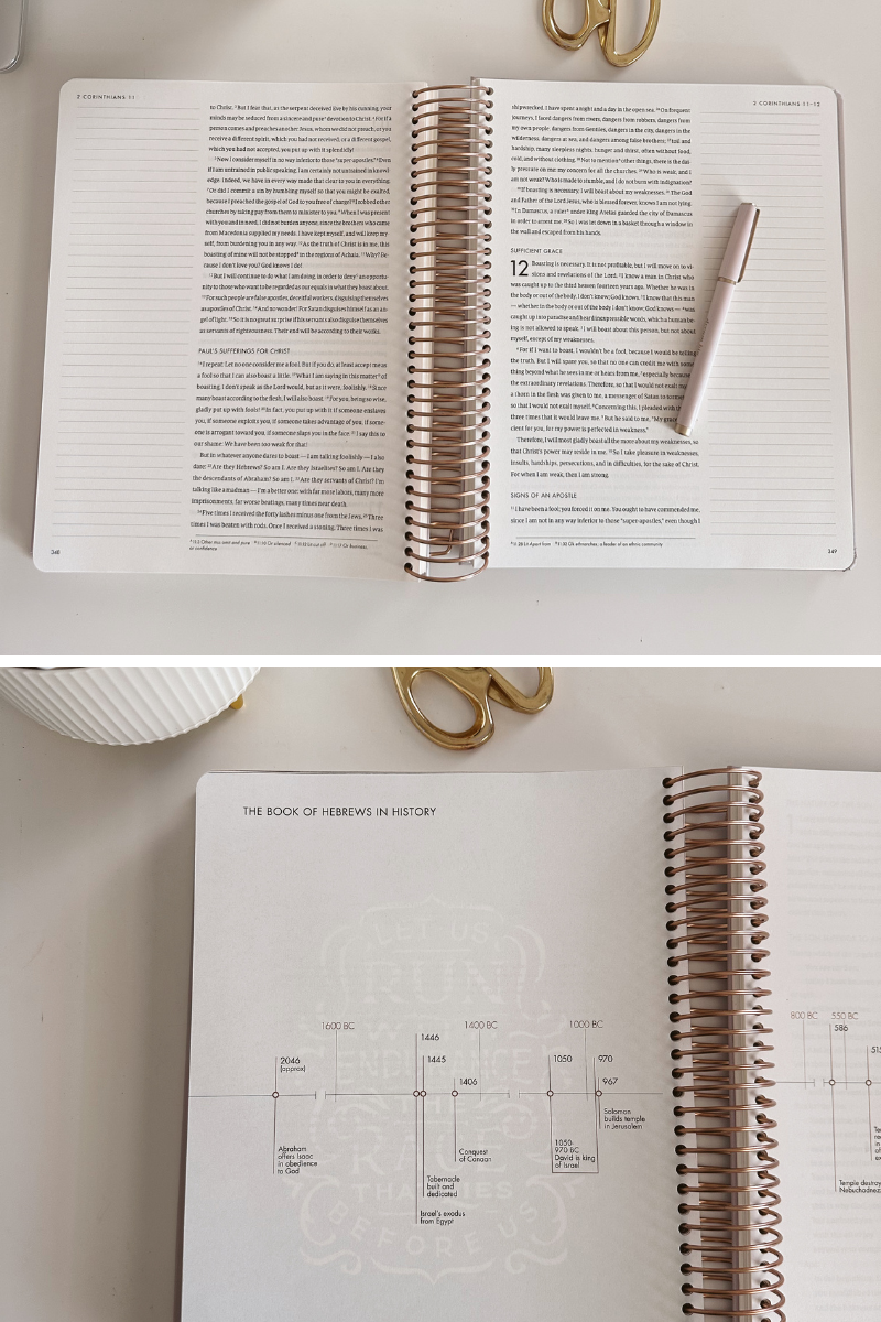 she reads truth notetaking bible lined pages