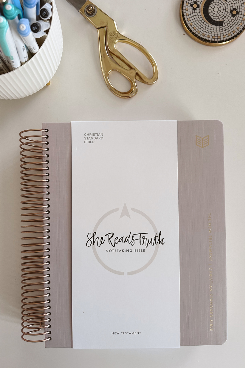 she reads truth notetaking bible new testament
