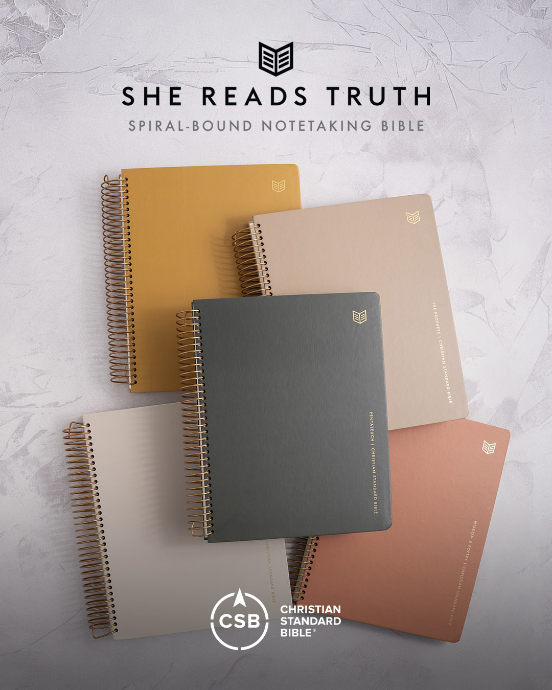 she reads truth notetaking bible covers
