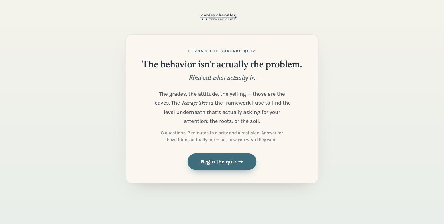 The Teenage Guide quiz funnel built by The Aligned Pretzel