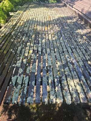 {{ custom_values.service_1 }} in {{custom_values.area_1})