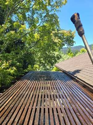 {{ custom_values.service_3 }} in {{custom_values.area_3})