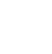dots icon