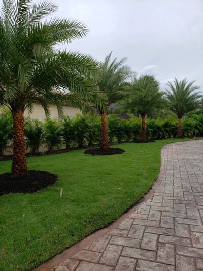 {{ custom_values.service_3 }} in {{custom_values.area_3})