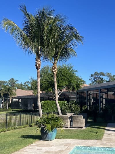 {{ custom_values.service_1 }} in {{custom_values.area_2})