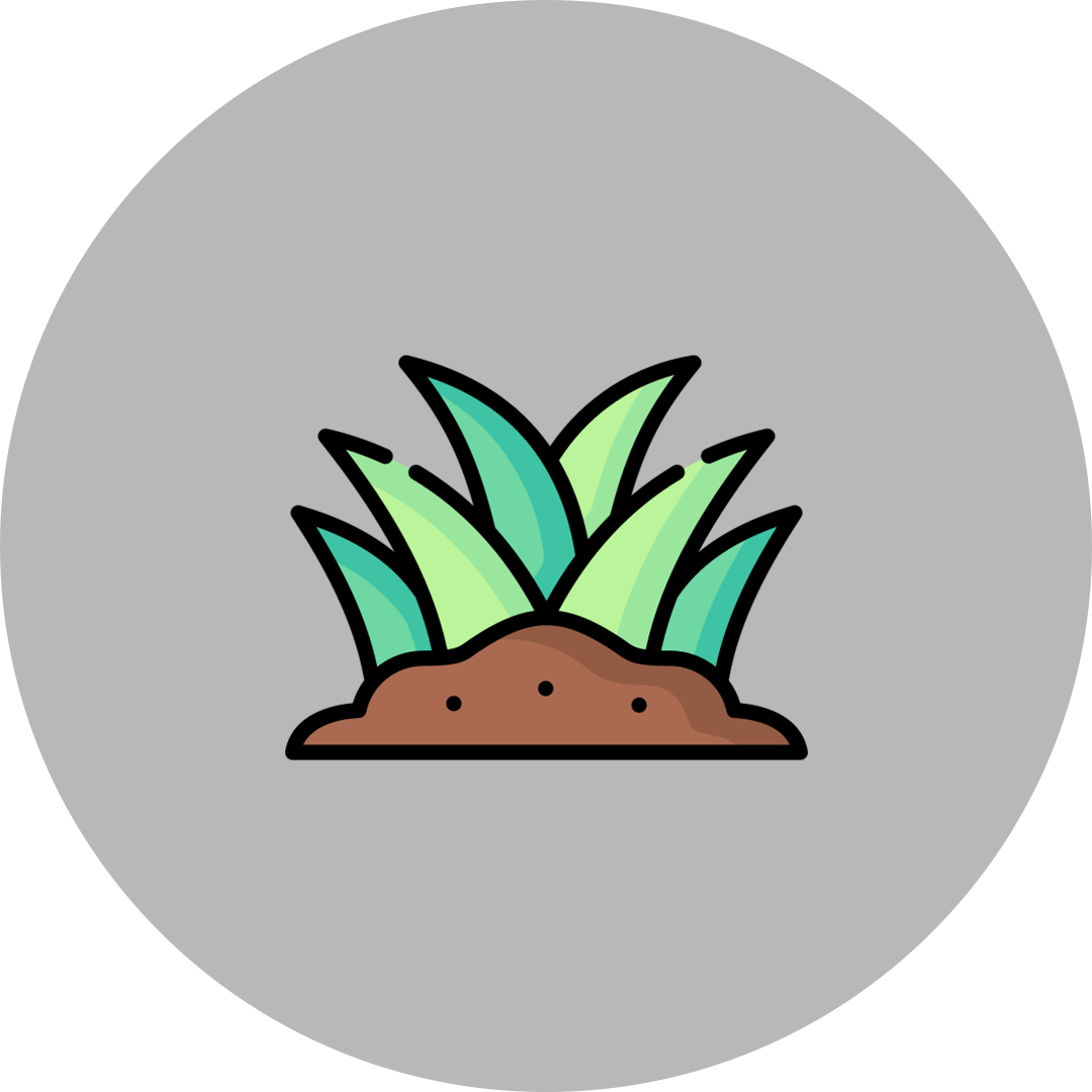 Rasenpflege