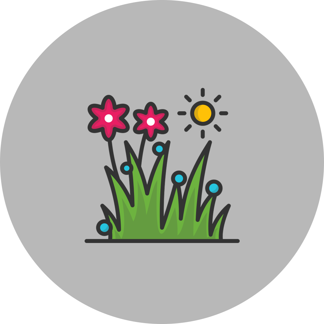 Blumenbeete und Pflanzungen