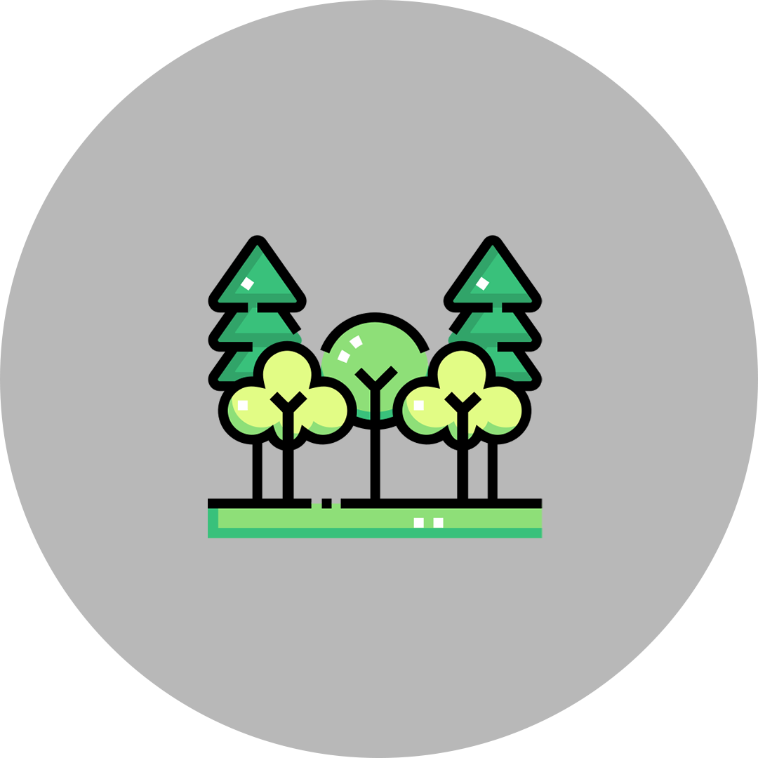 Gartenräumung