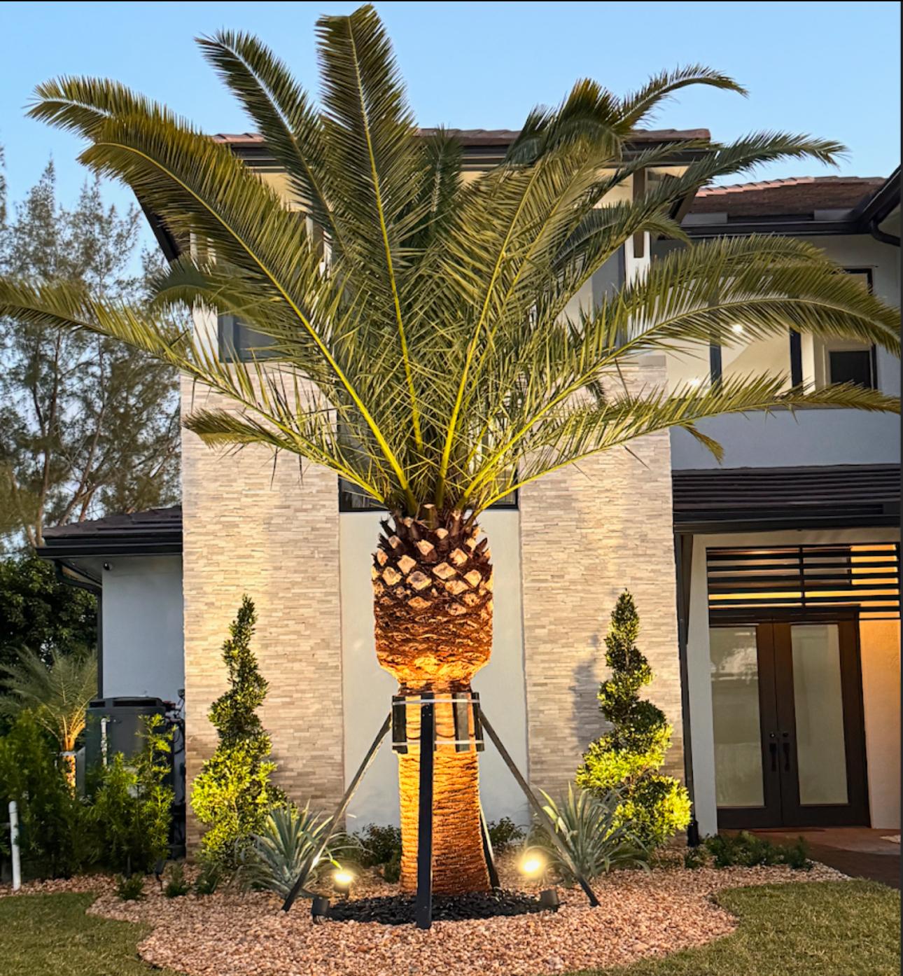 Landscape Design & Lighting