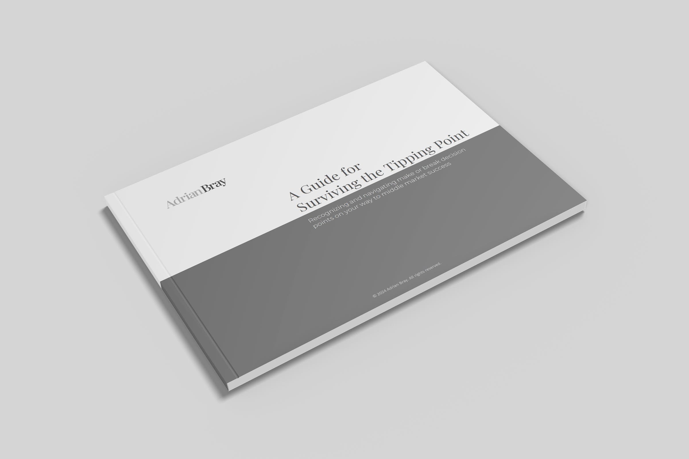 Image of Surviving the Tipping Point eBook