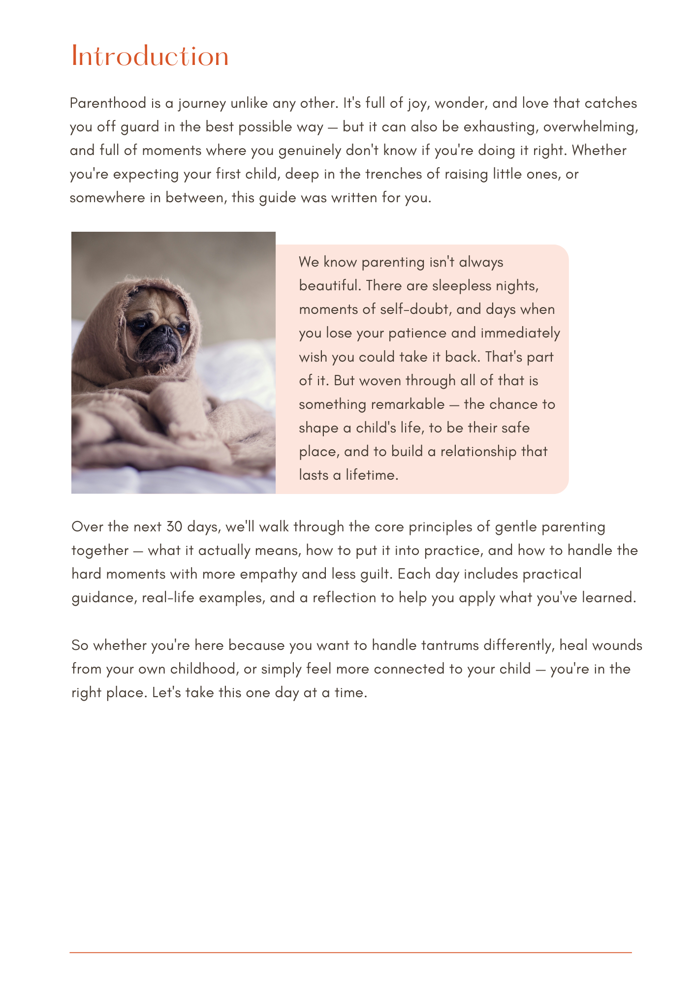 Guide preview page 2