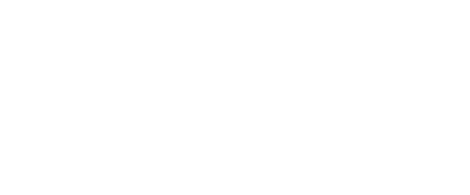 GraphicMinds