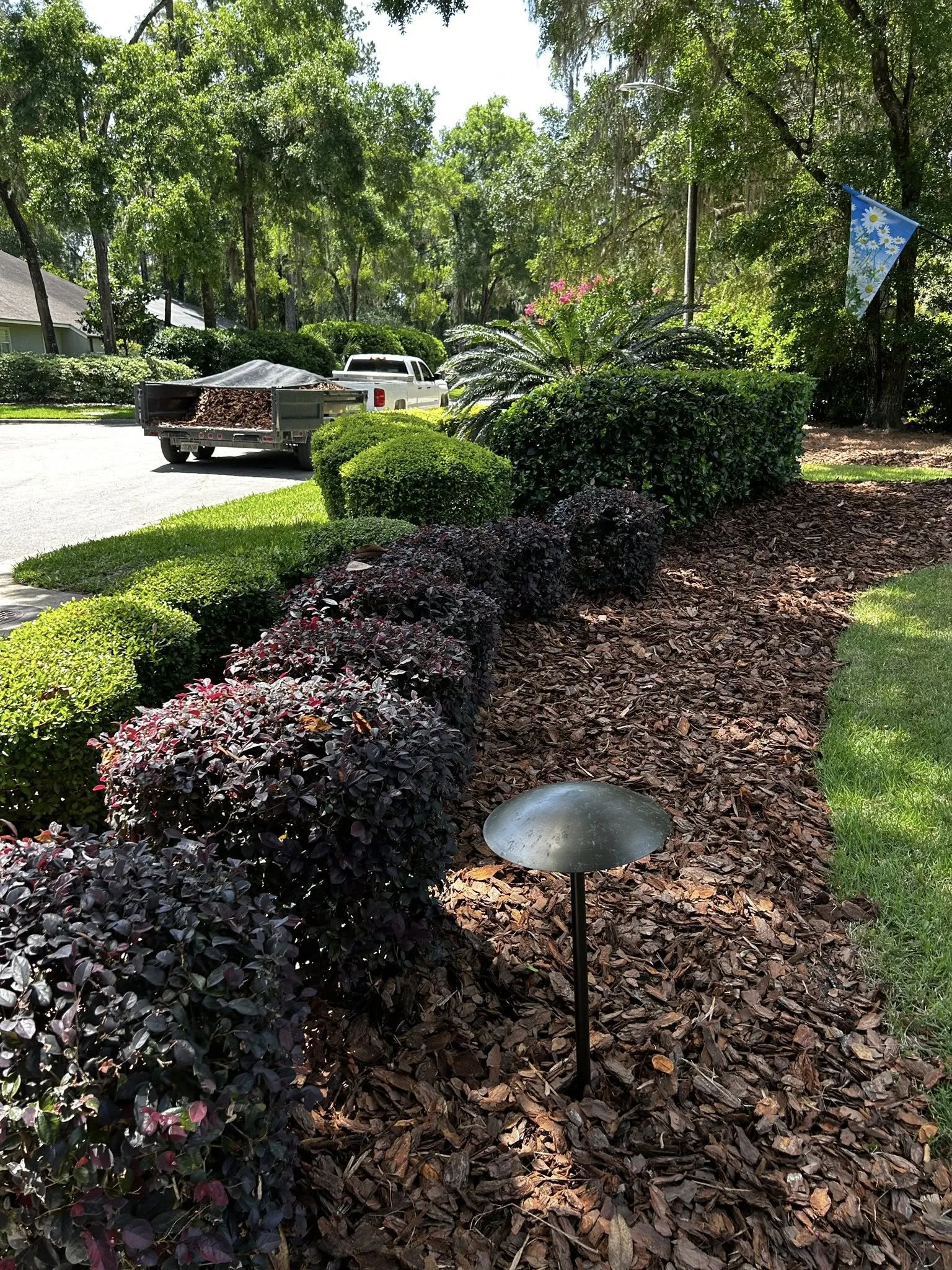 Beautiful landscaping project with fresh mulch and plants