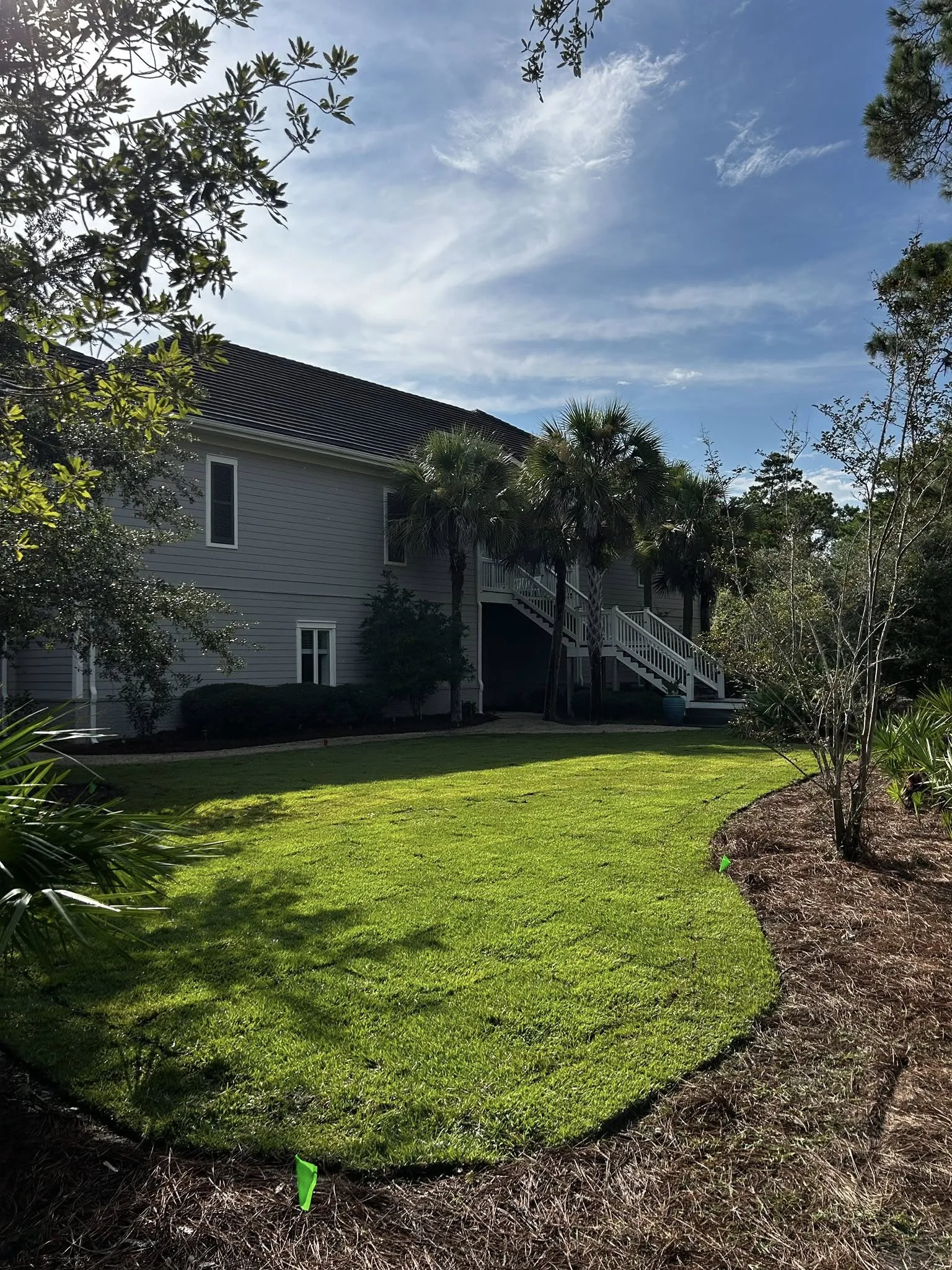 Fresh green sod installation in a residential yard in Alachua County, FL