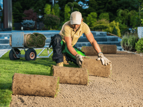 Landscaping in Southport