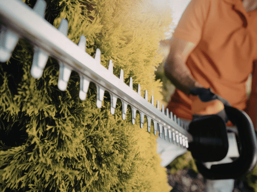 Hedging in Southport
