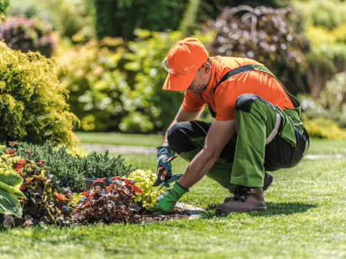 Gardening in Southport