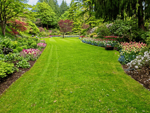 Lawn Mowing Southport
