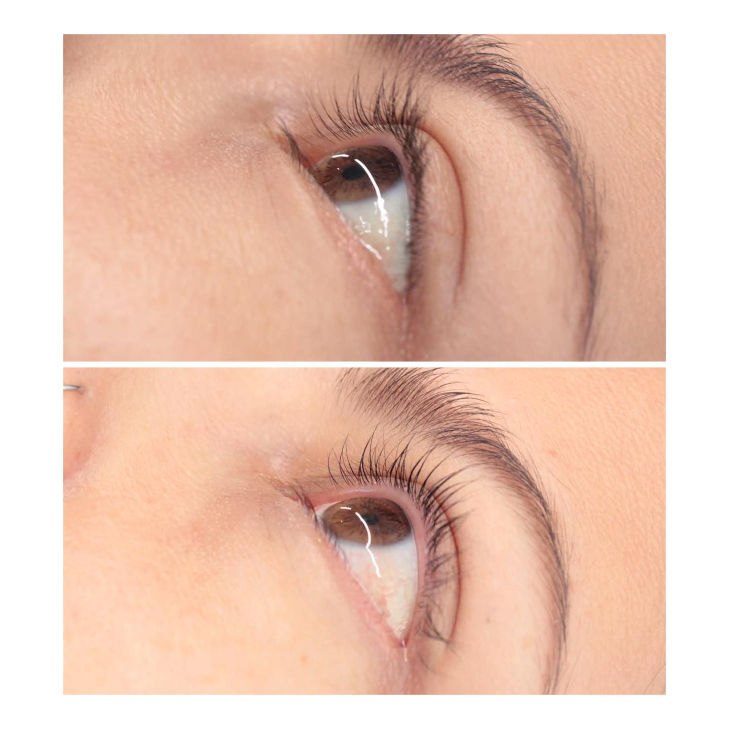 Regard sublimé Studio GV