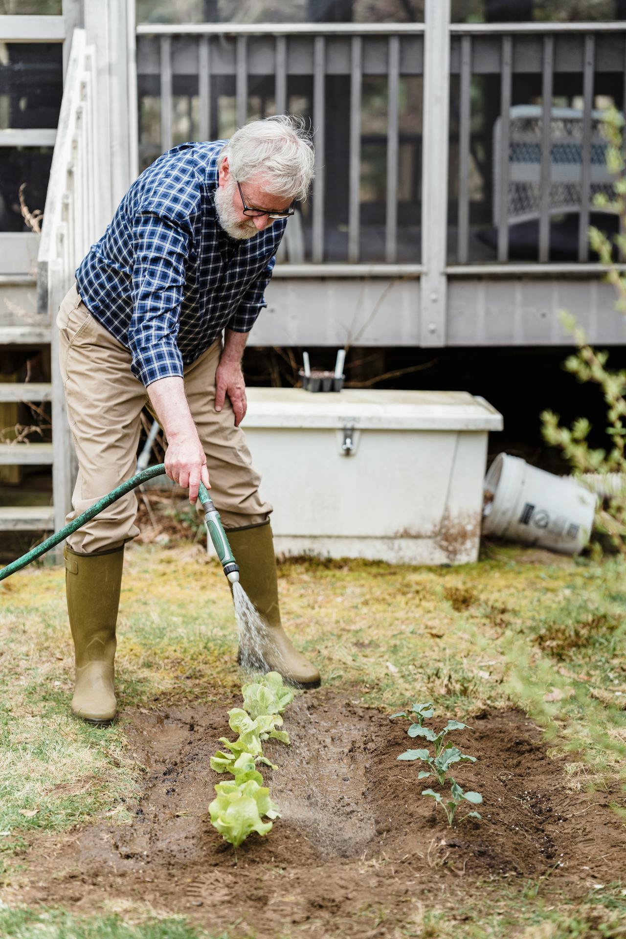 Watering a garden with a hose