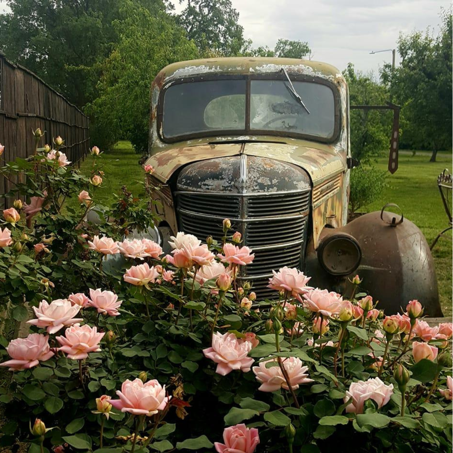 The Rustic Rose image 2