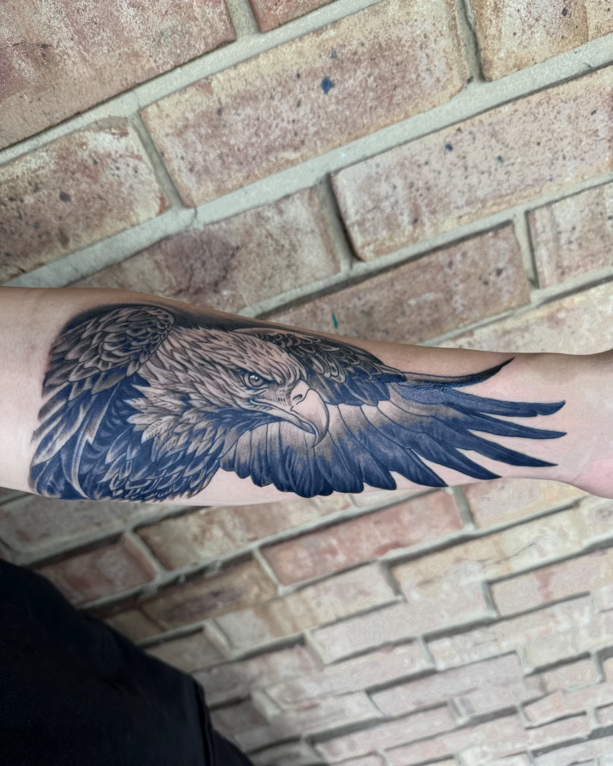 Color eagle tattoo by Nicole Miller in Missoula Montana