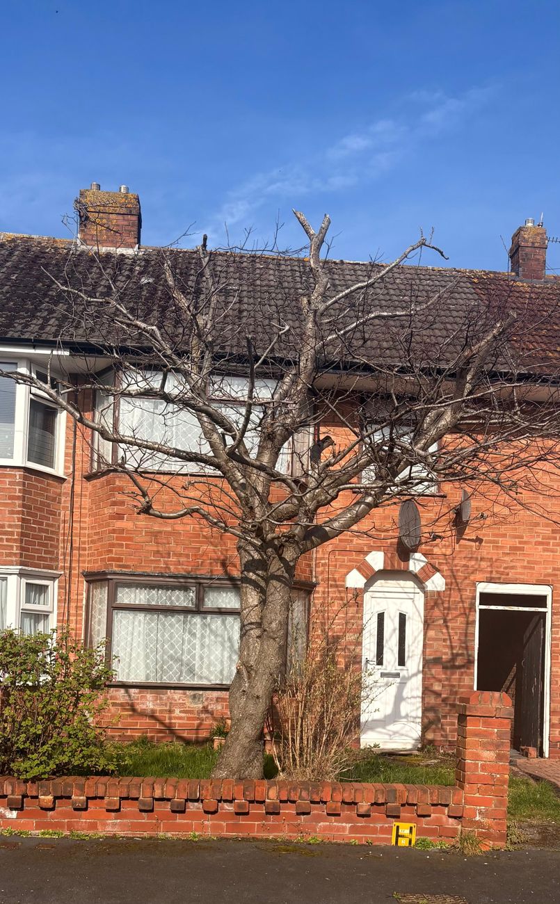 Project Honey front before the refurbishment
