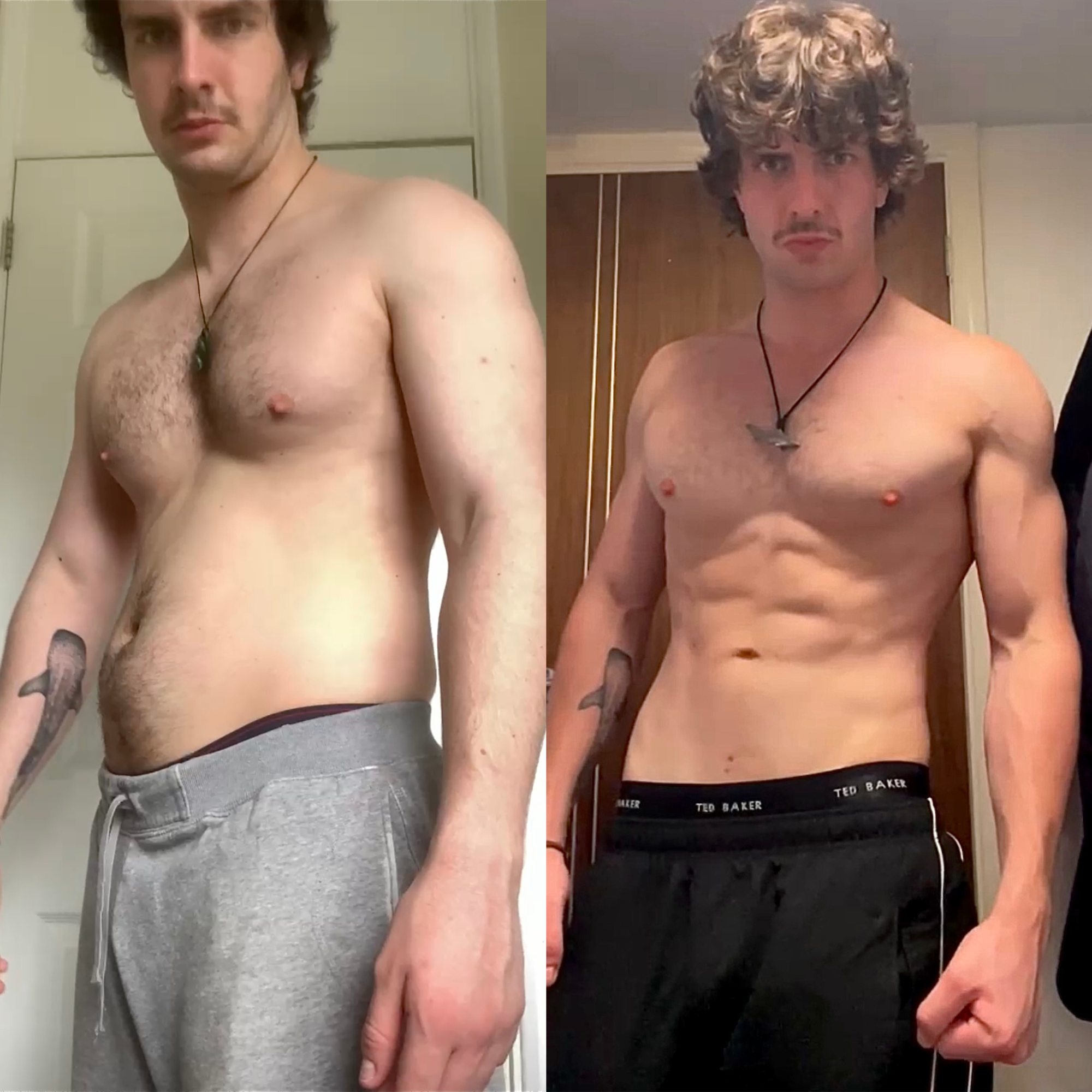 Alec transformation 2