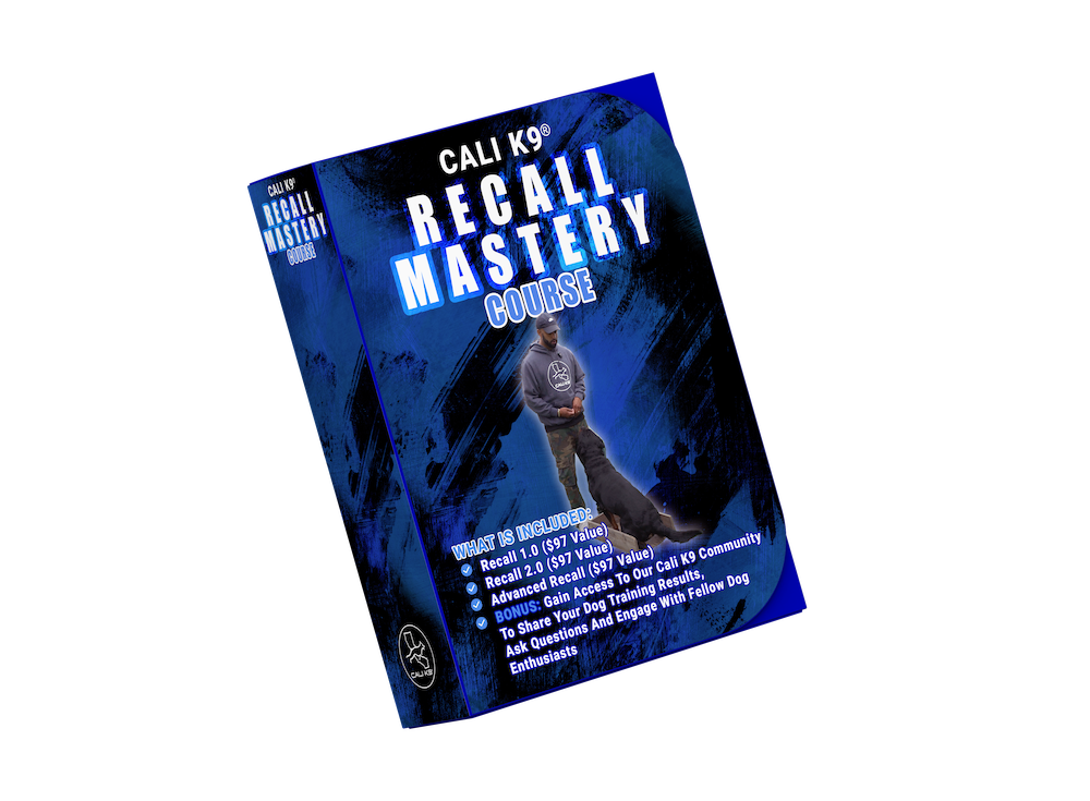 Cali K9 | Recall Mastery Course