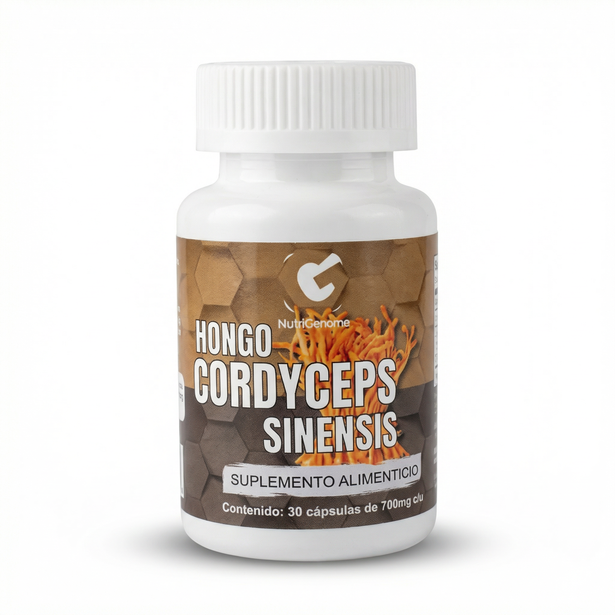 Hongo Cordyceps: La Ciencia Detrás de la Energía y el Rendimiento Físico - Artículo blog nutrigenómica y bienestar
