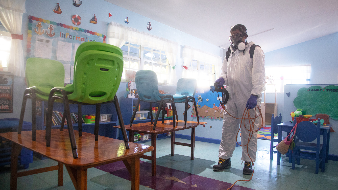 Mould Removal Services Near Me – Ever Ready Solutions 